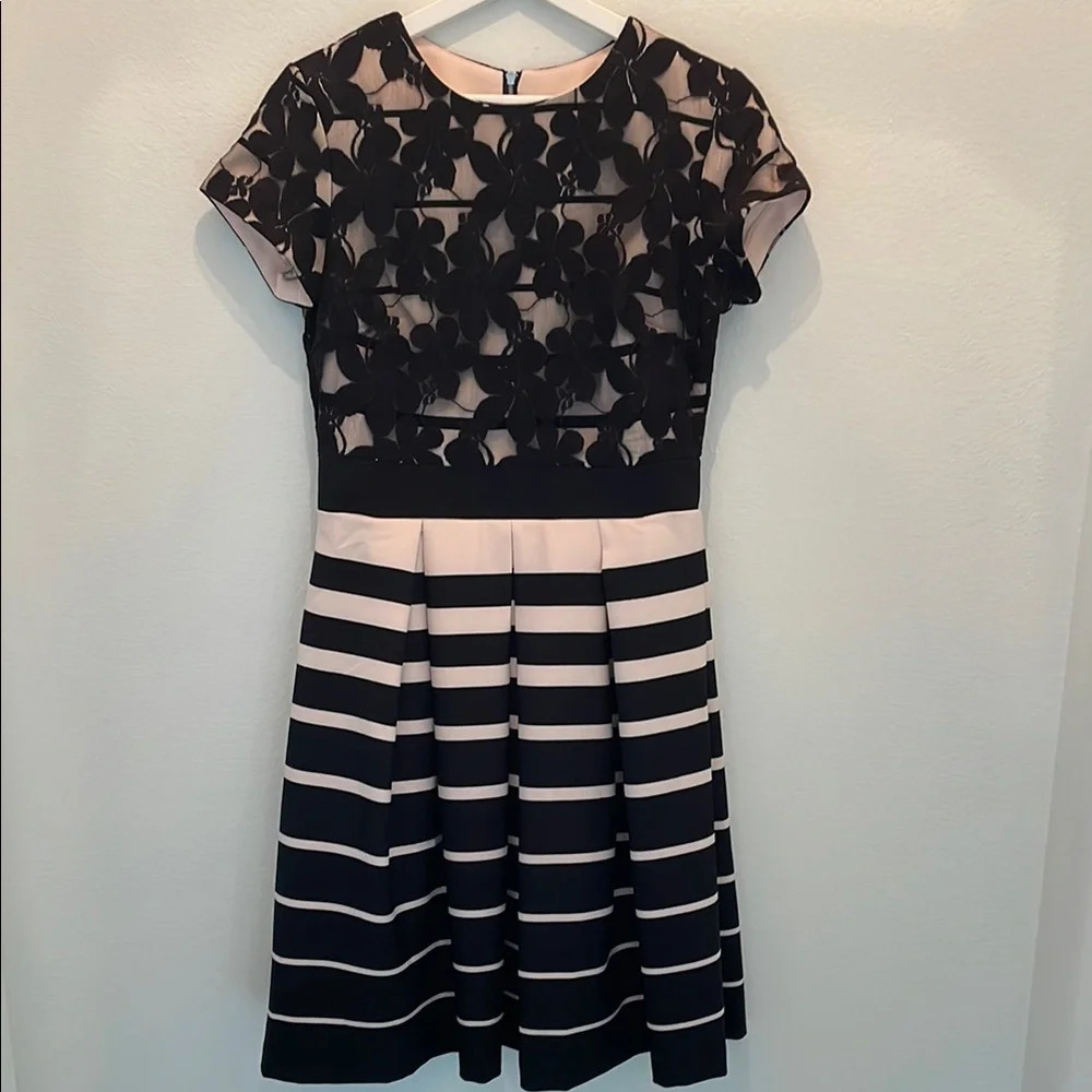 Danny & Nicole Black Pink Floral Lace Striped Fitted Flare Dress Size 4